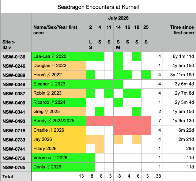 Kurnell Seadragon Encounters - July 2026
